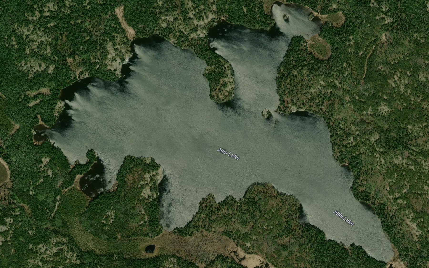 Satellite map of the Allin Lake