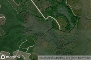 Alligator Creek