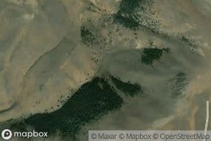 Bear Canyon Spring