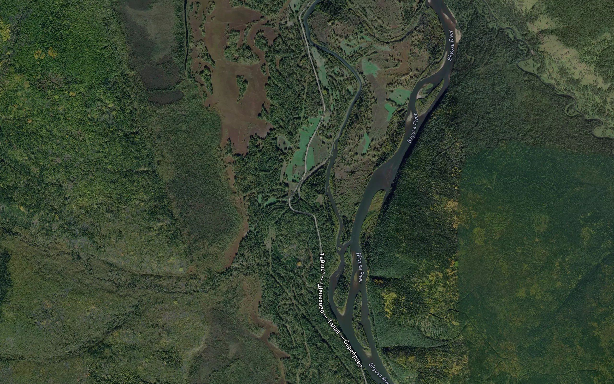 Bolotnaya