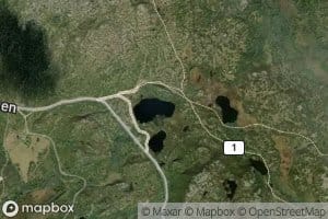 Larvheitjornin