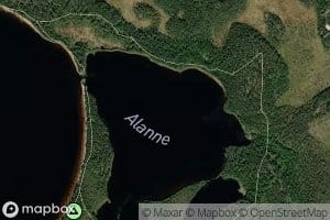 Alanne