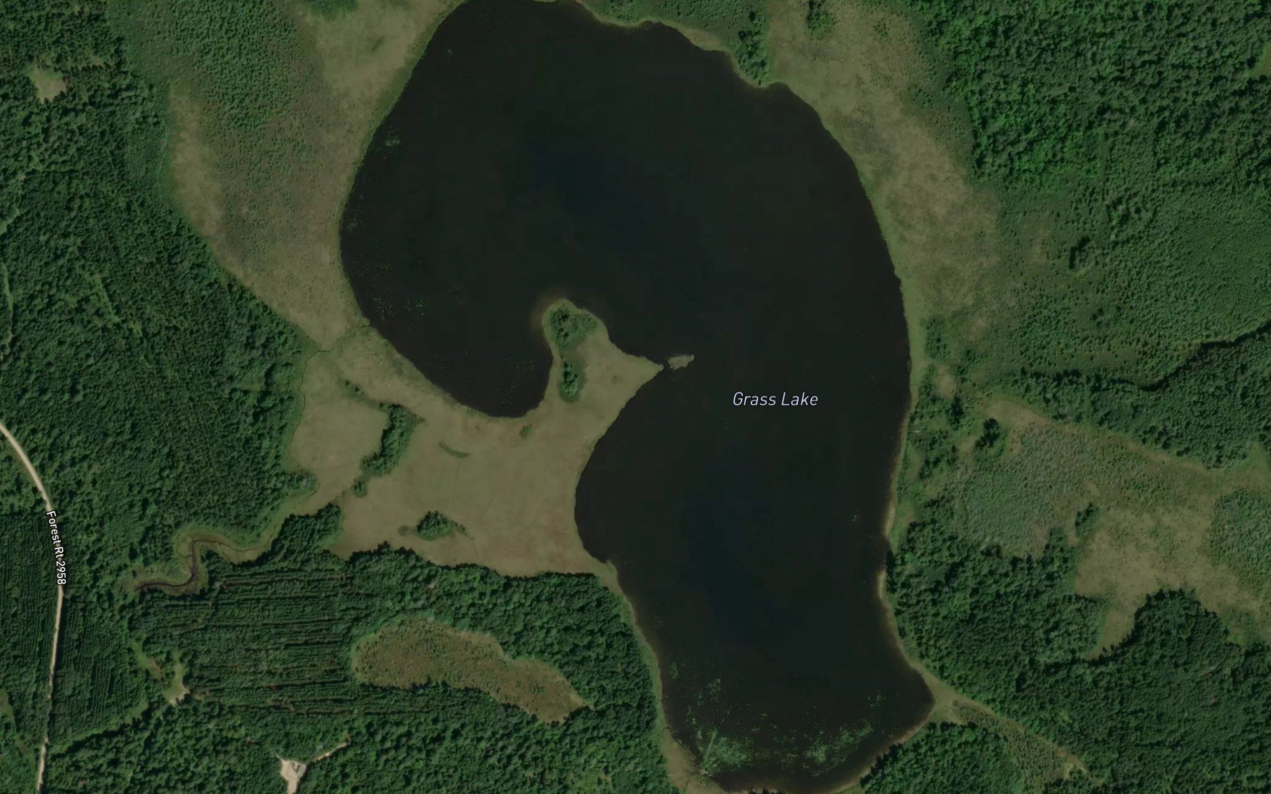 Grass Lake