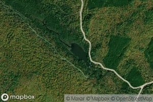 Heald Pond