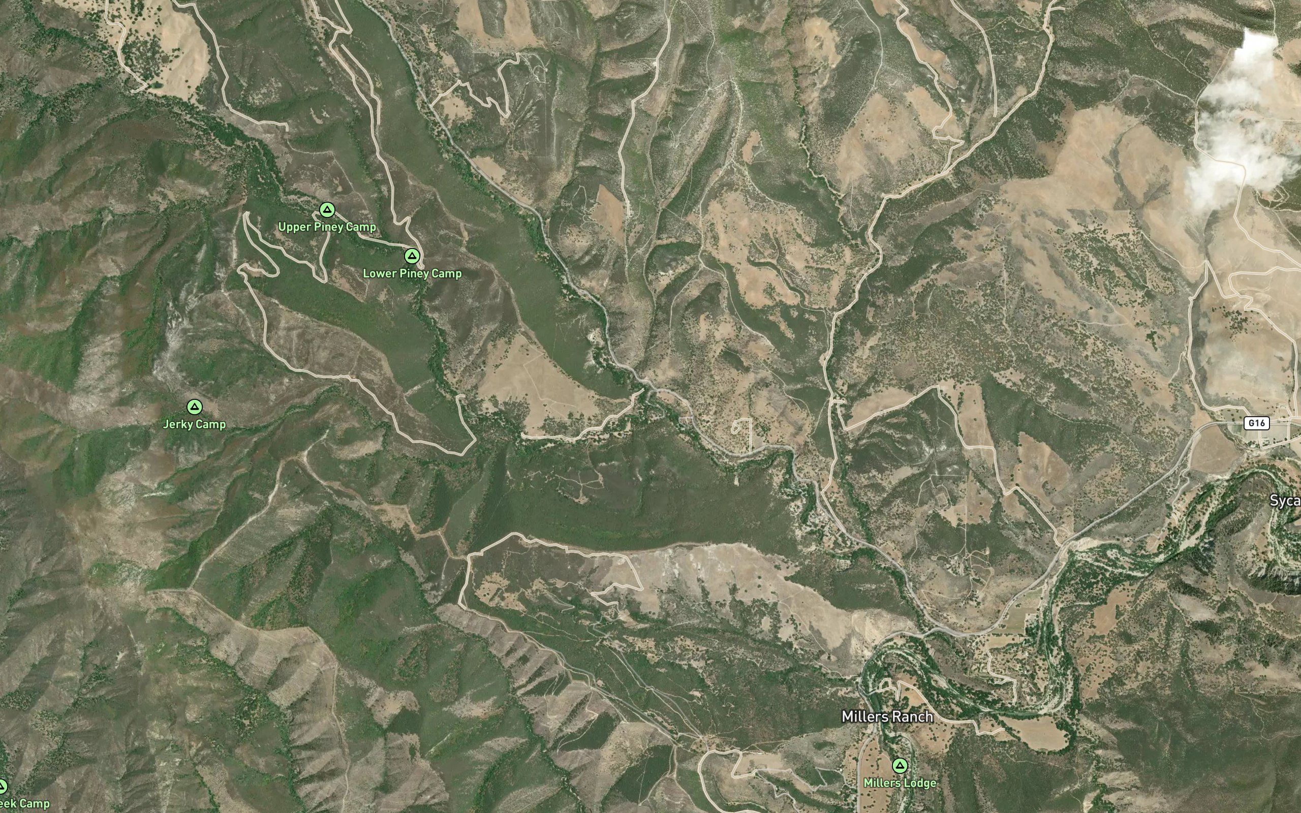 Paloma Creek