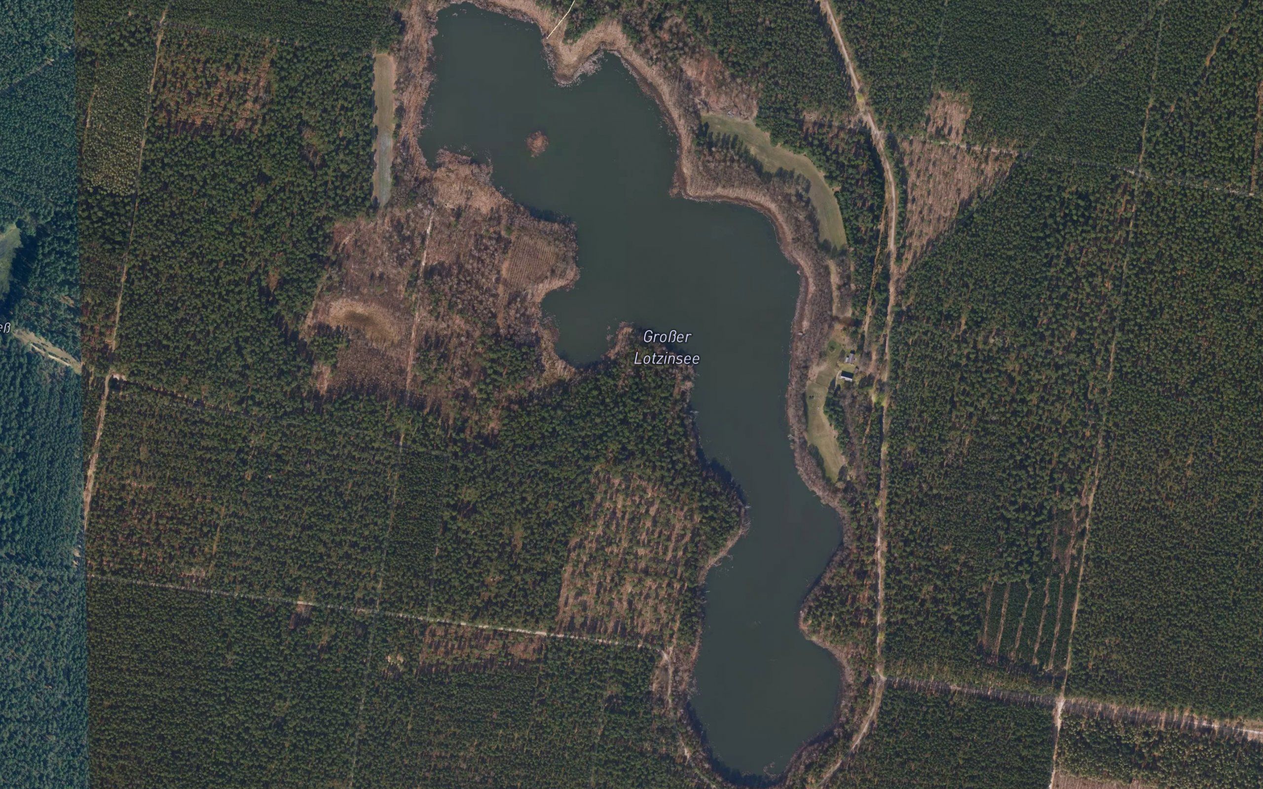 Grosser Lotzinsee