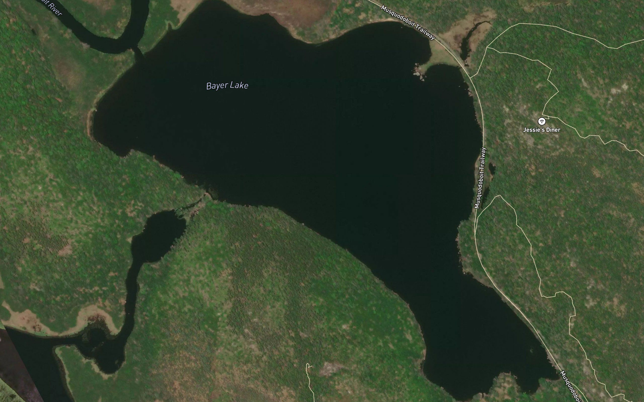 Bayer Lake