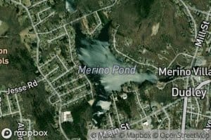 Merino Pond
