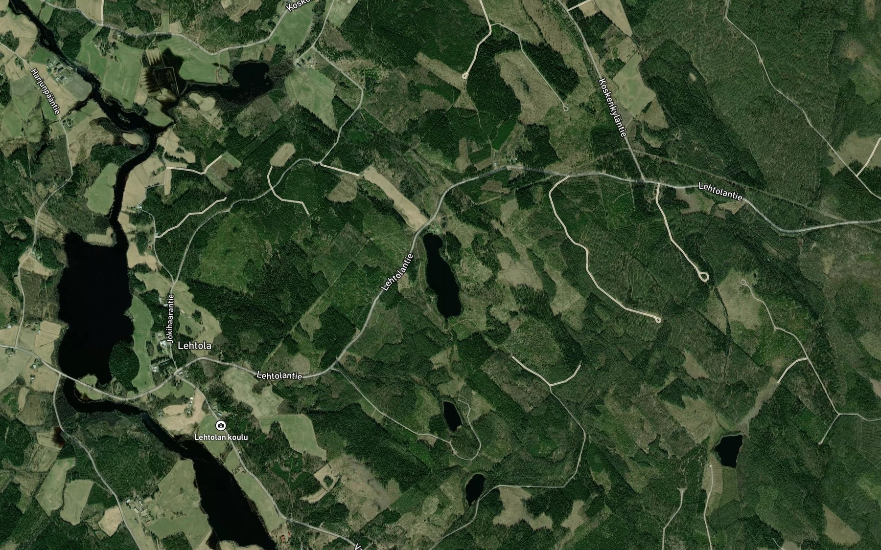 Satellite map of the Pitkalampi