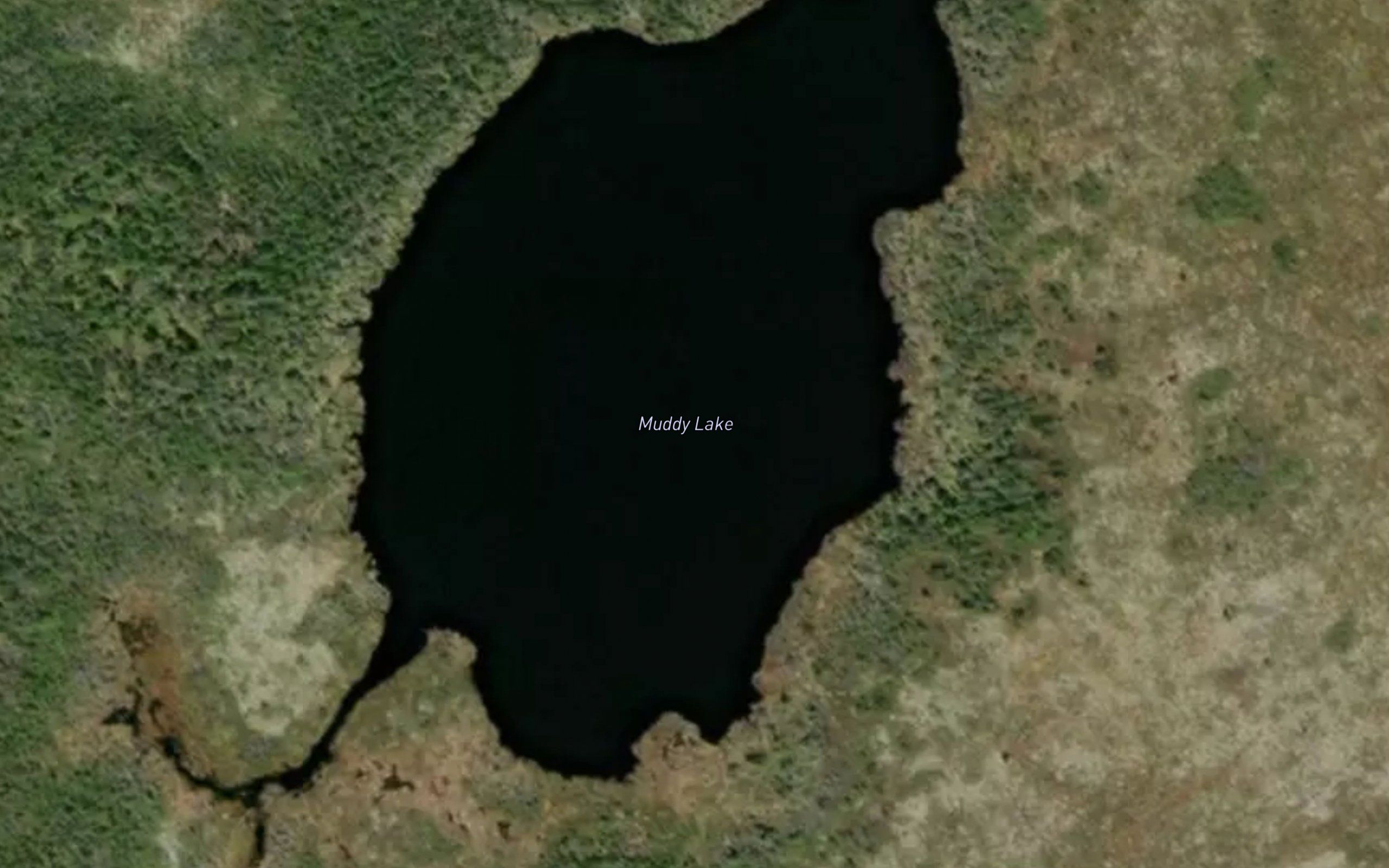 Muddy Lake