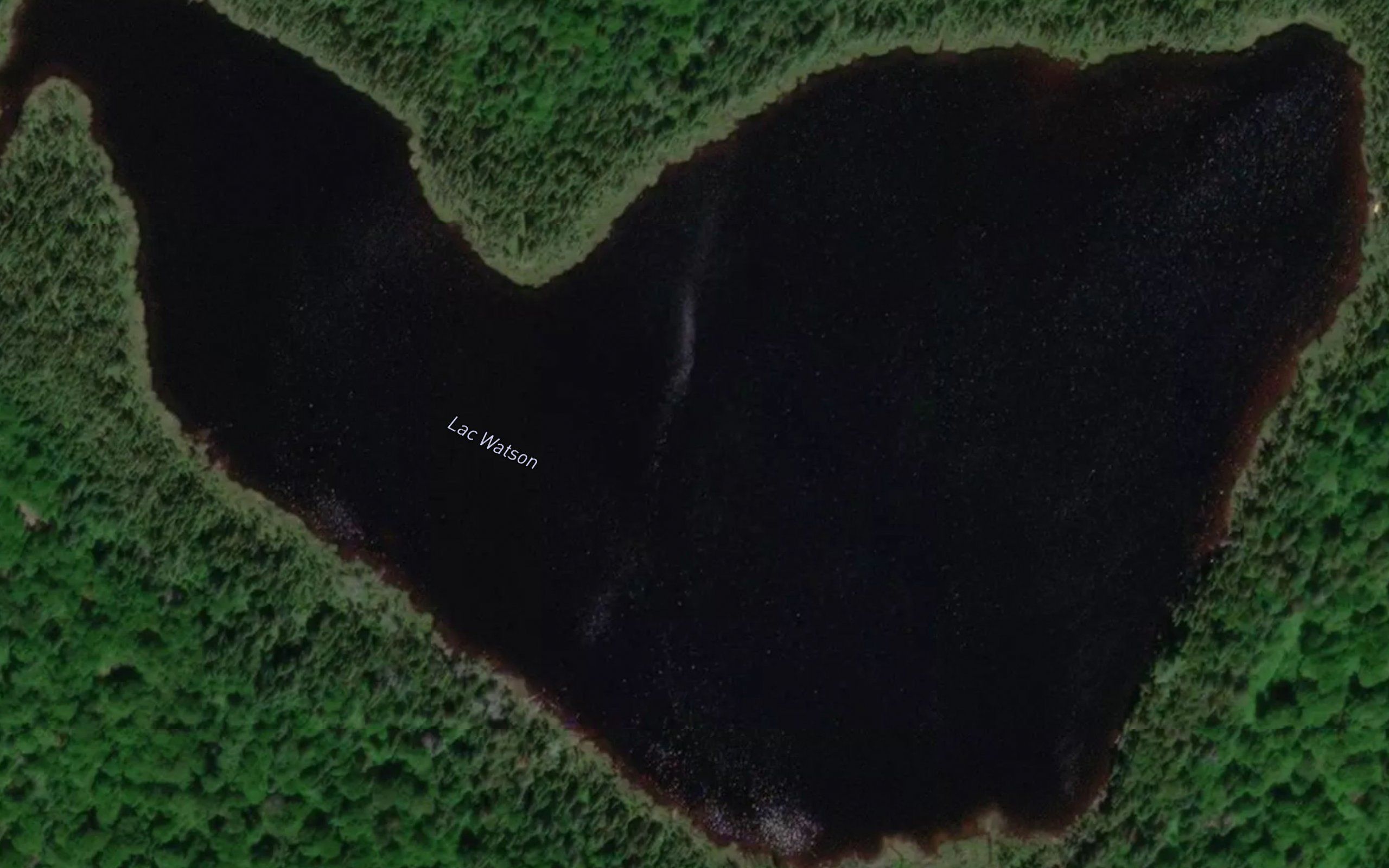 Lac Watson