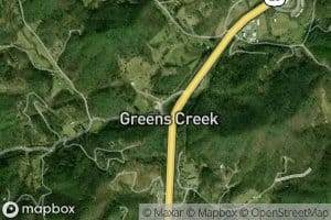 Greens Creek