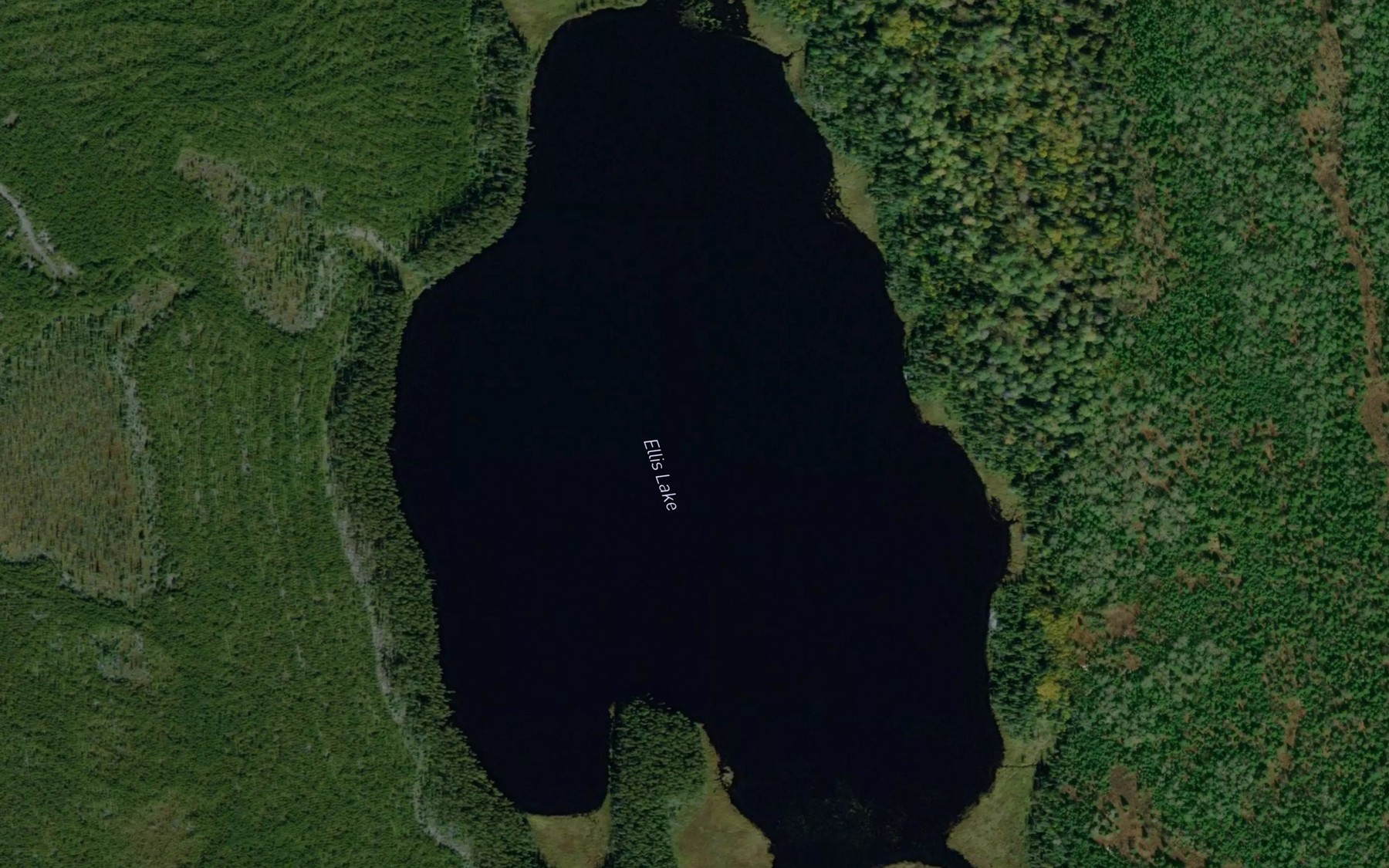 Satellite map of the Ellis Lake