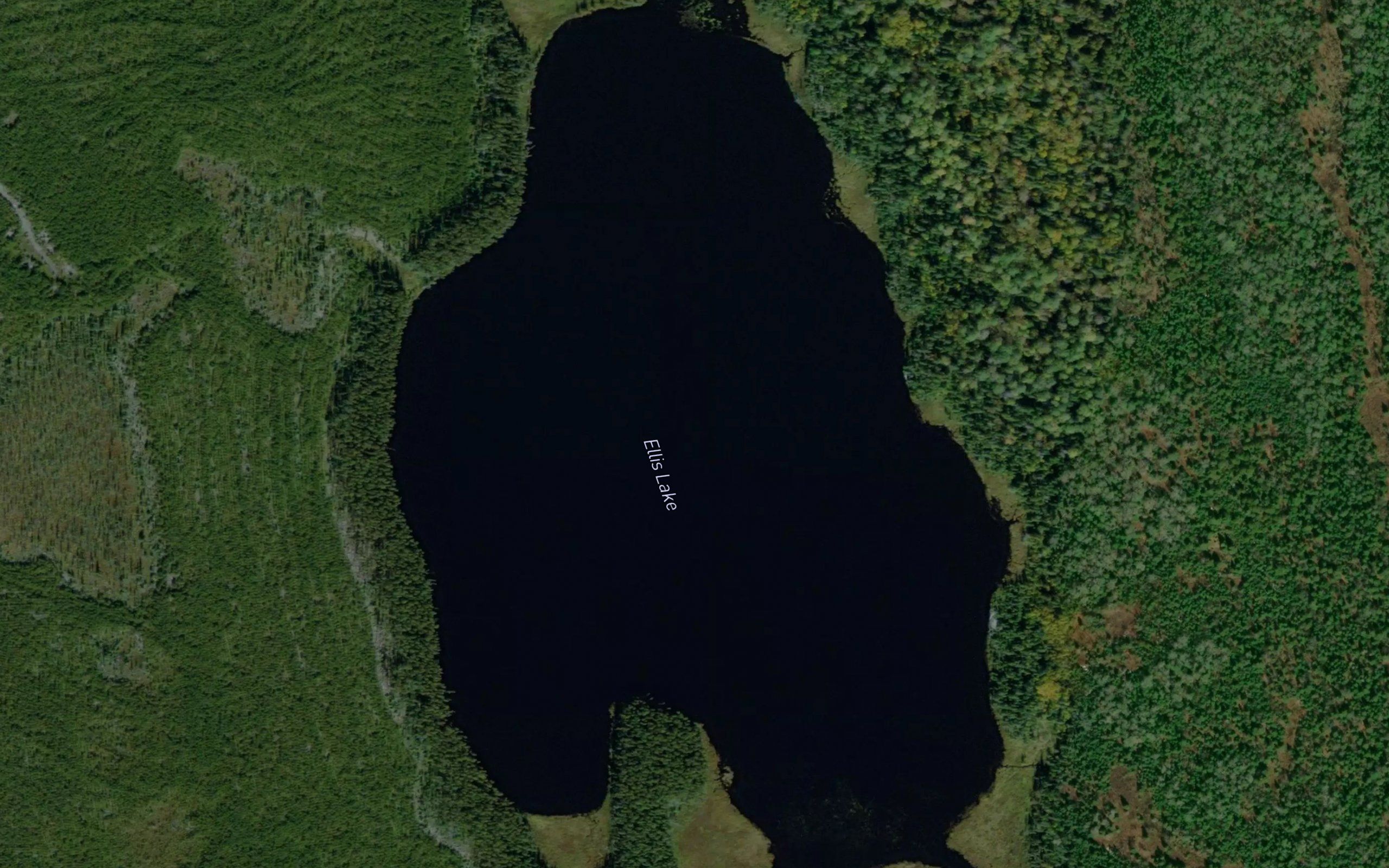 Ellis Lake