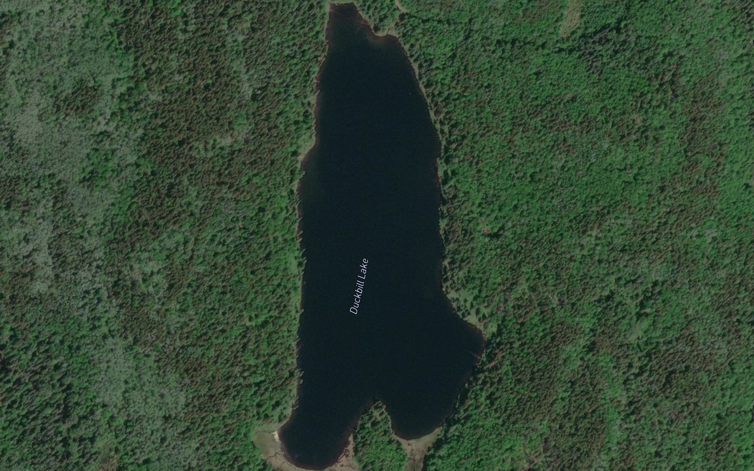 Duckbill Lake