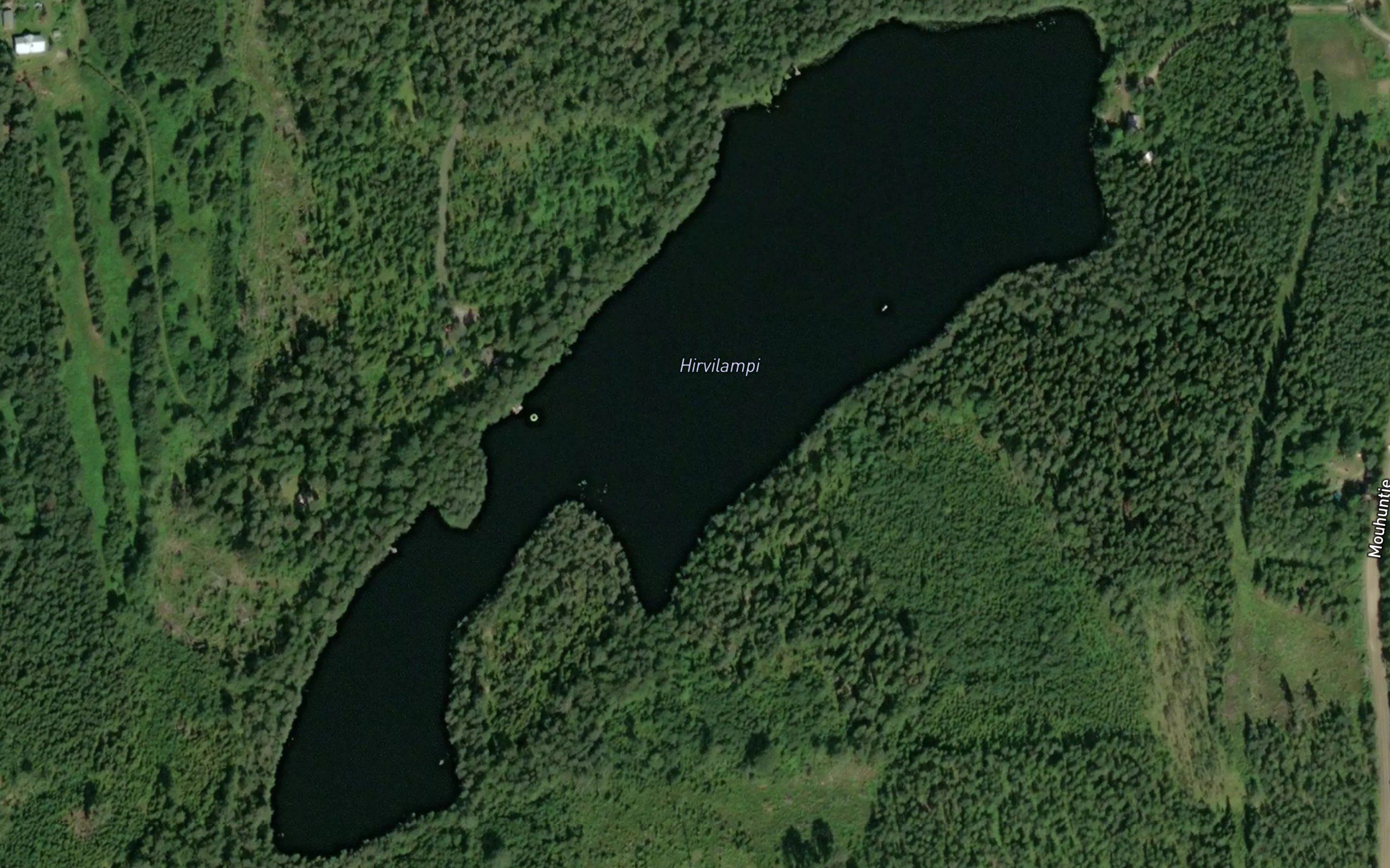 Hirvilampi