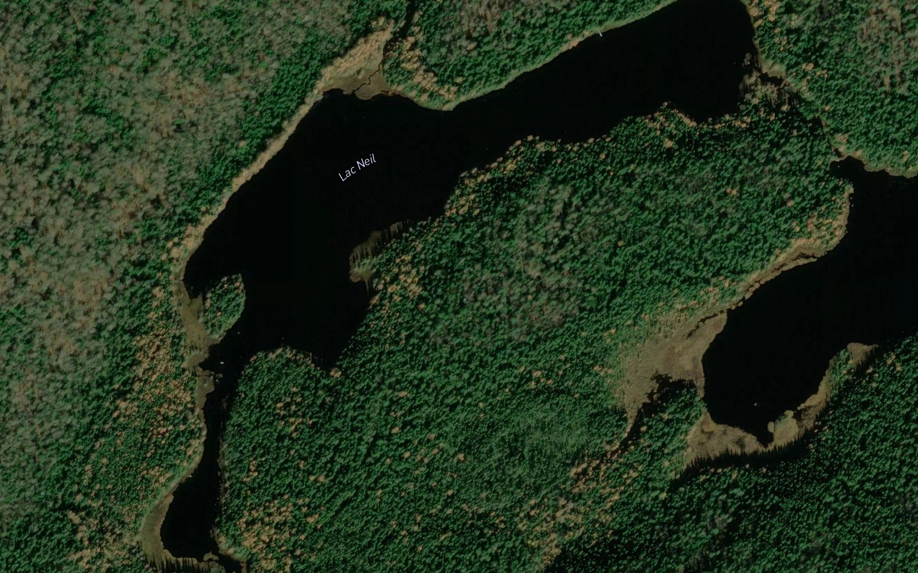 Satellite map of the Lac Neil