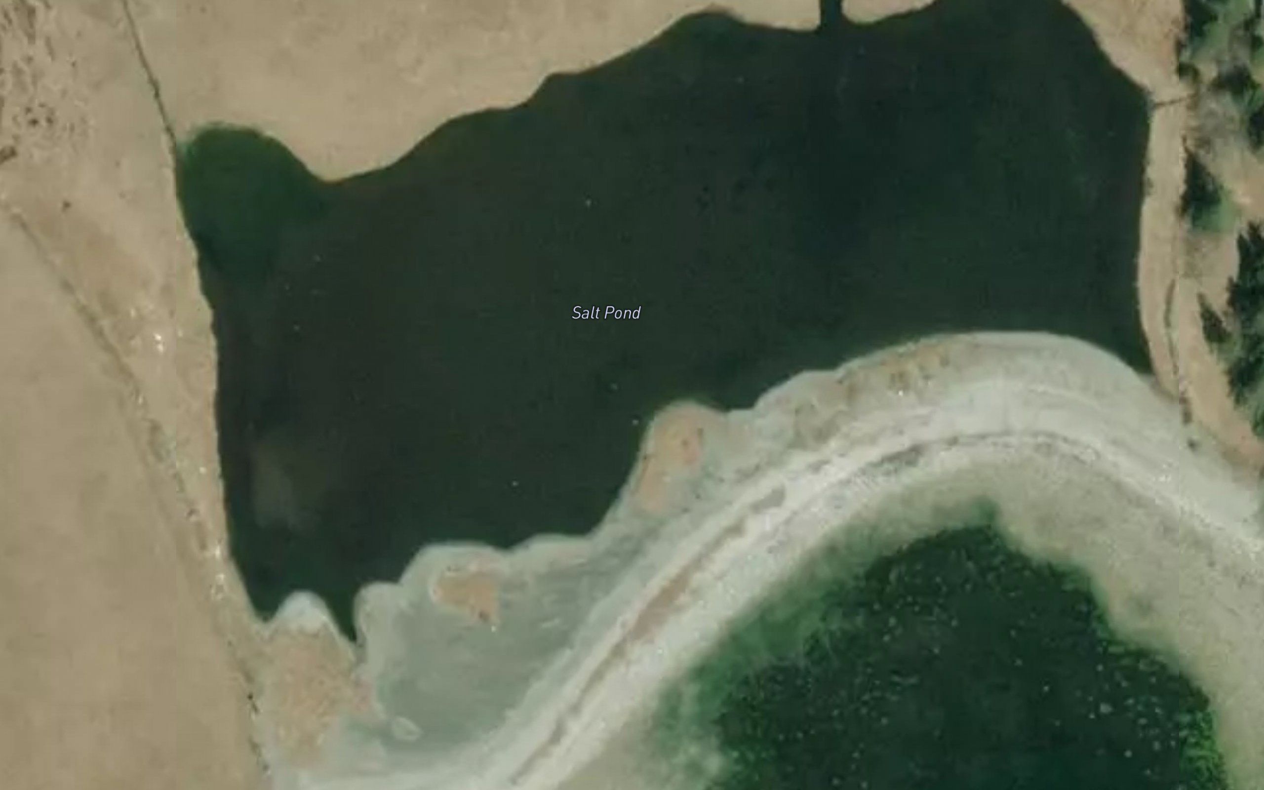 Salt Pond
