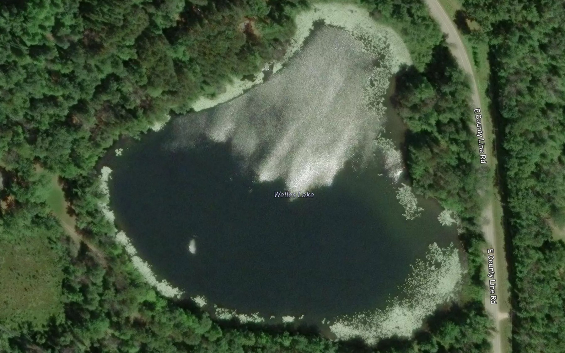 Satellite map of the Welles Lake