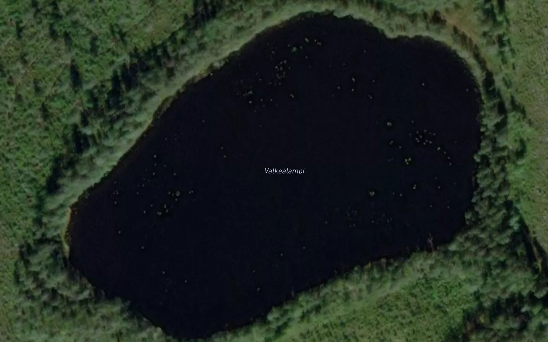 Satellite map of the Valkealampi