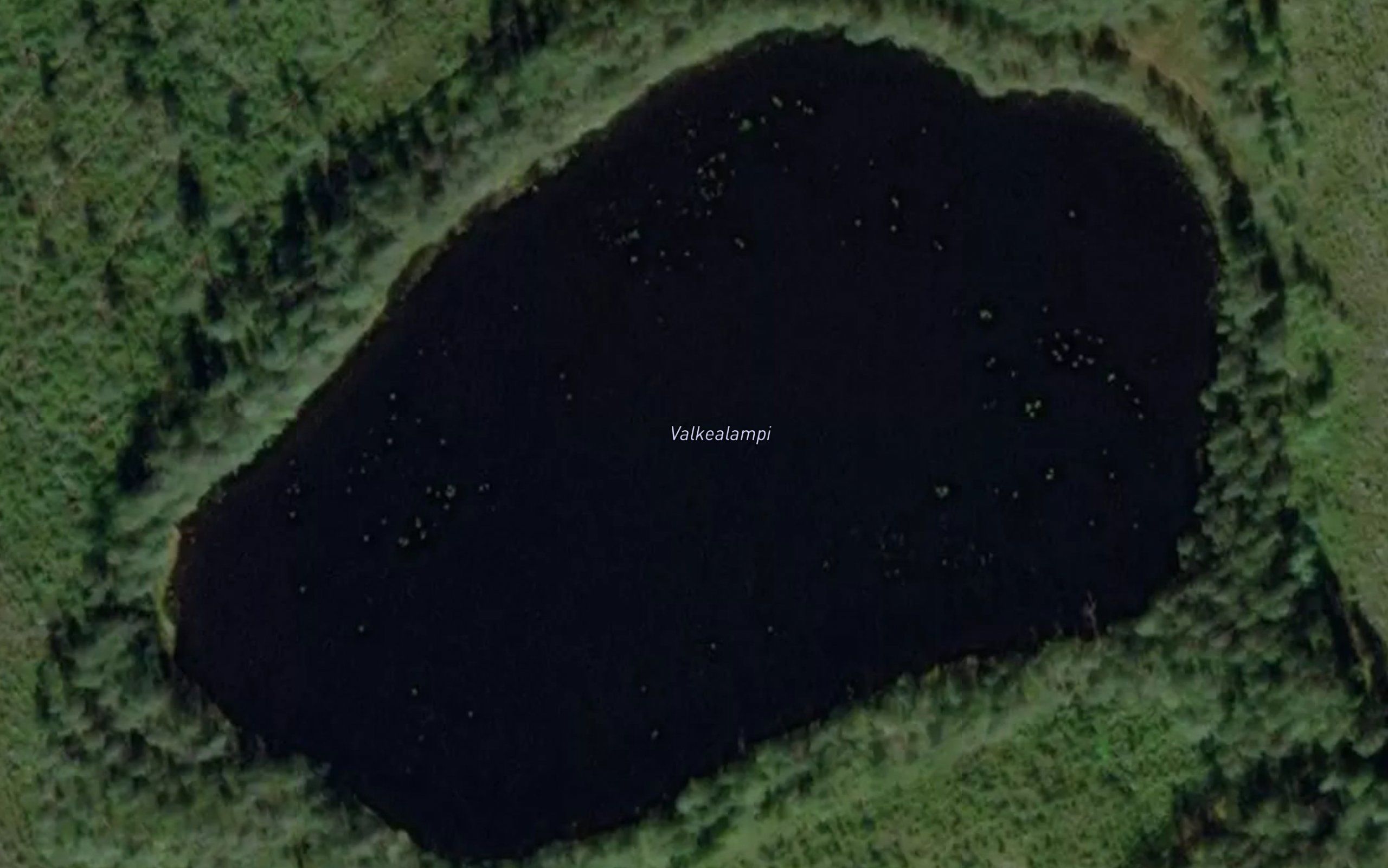 Valkealampi