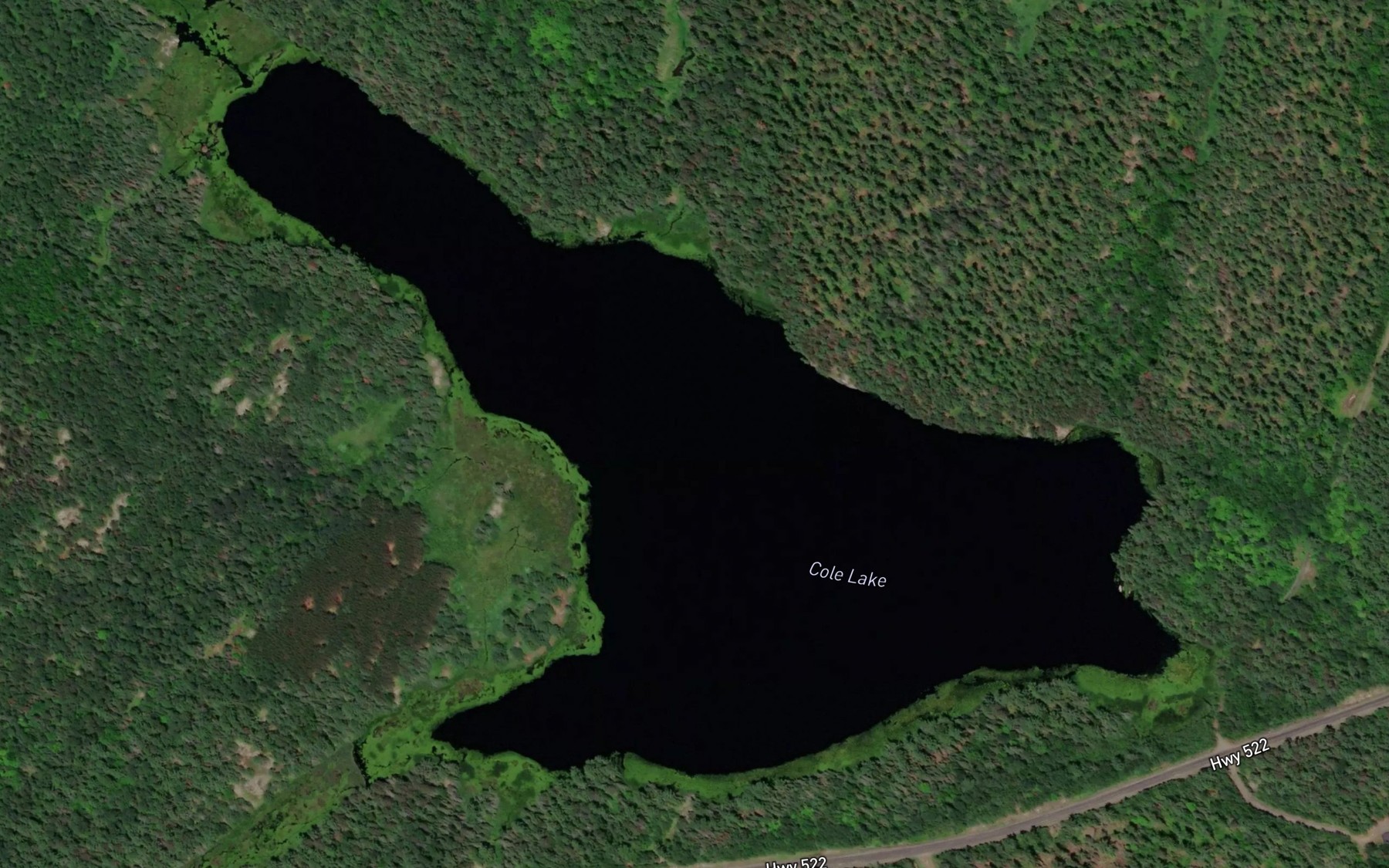 Satellite map of the Cole Lake