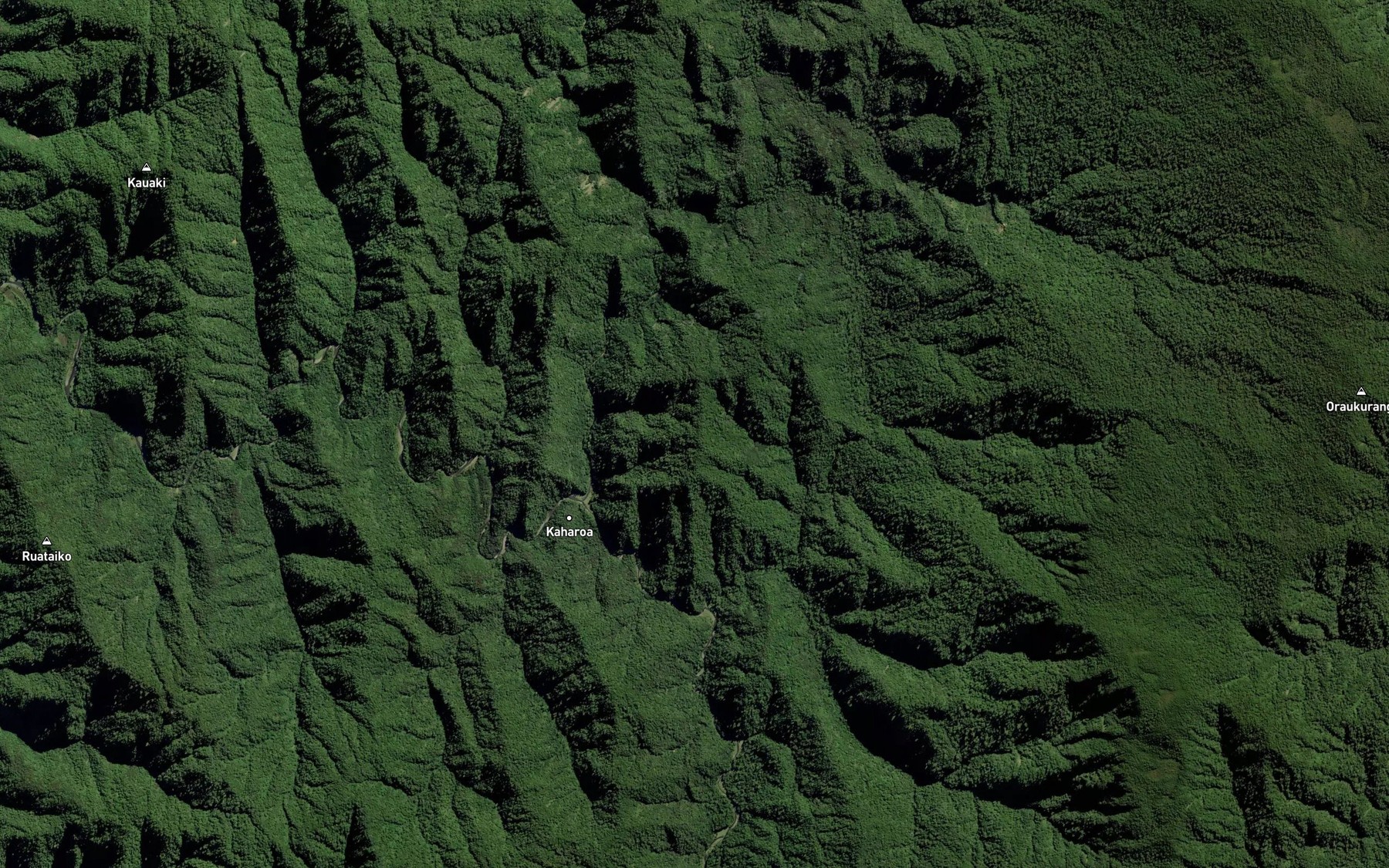 Satellite map of the Whakapirau Stream