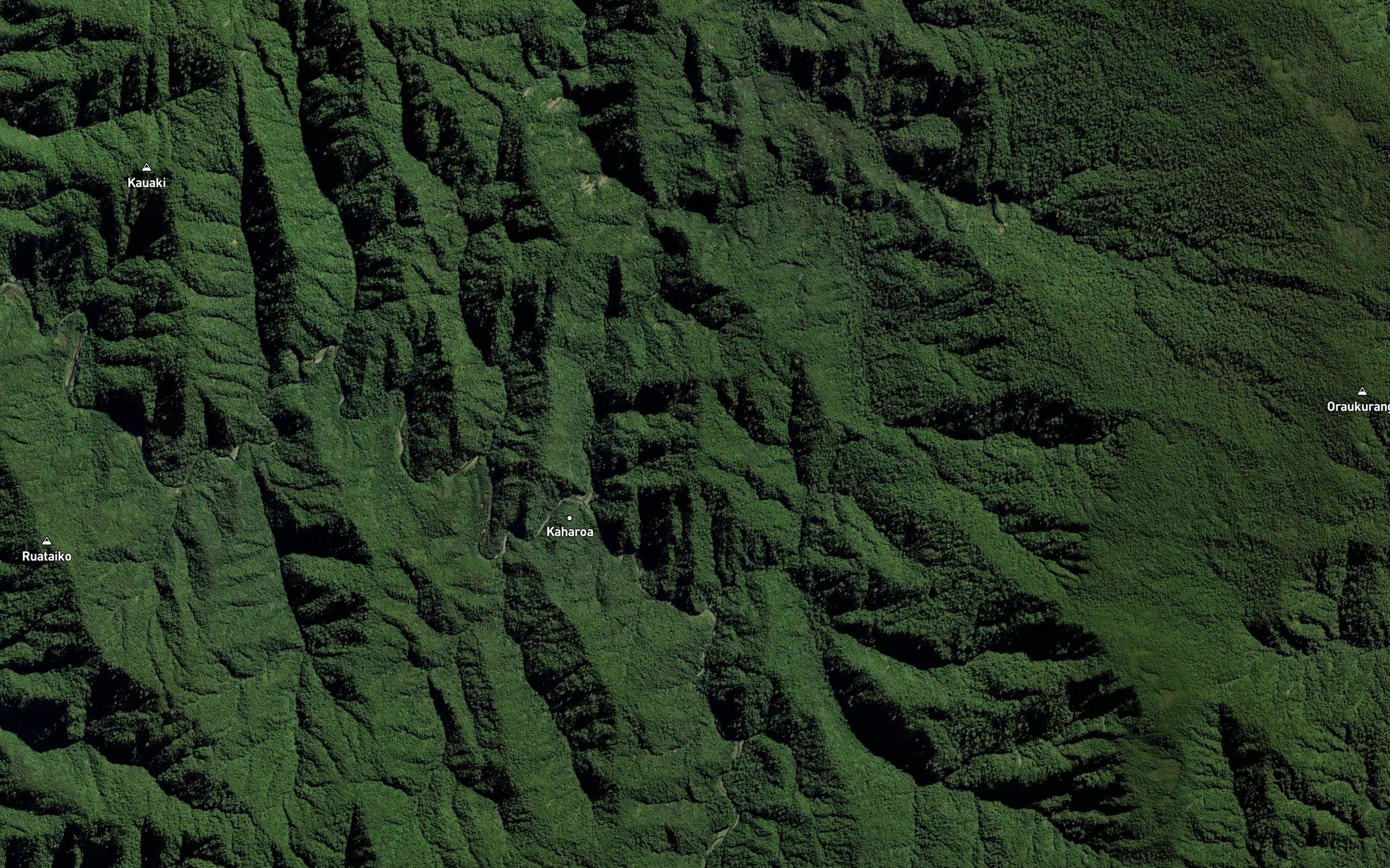 Whakapirau Stream