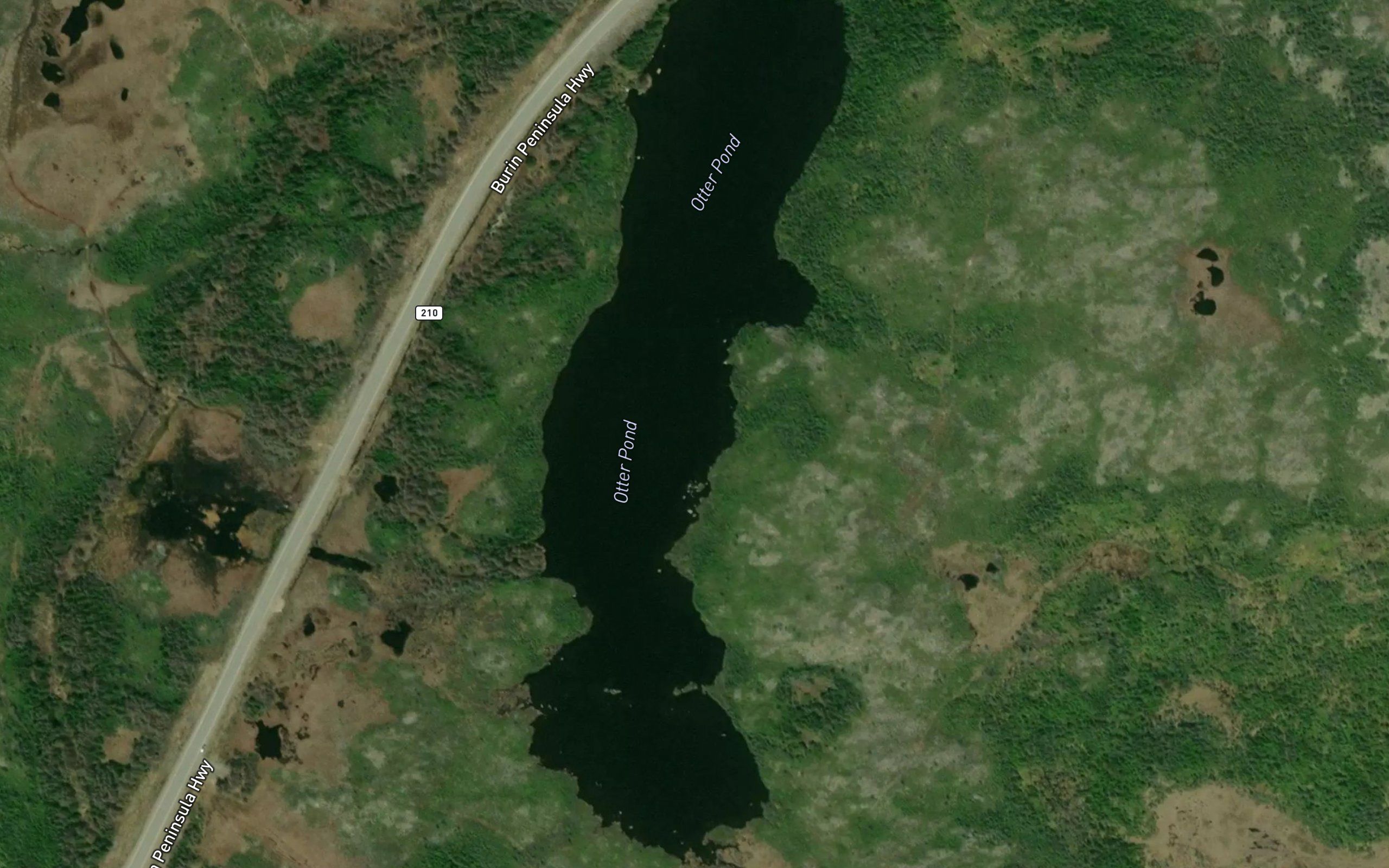 Otter Pond