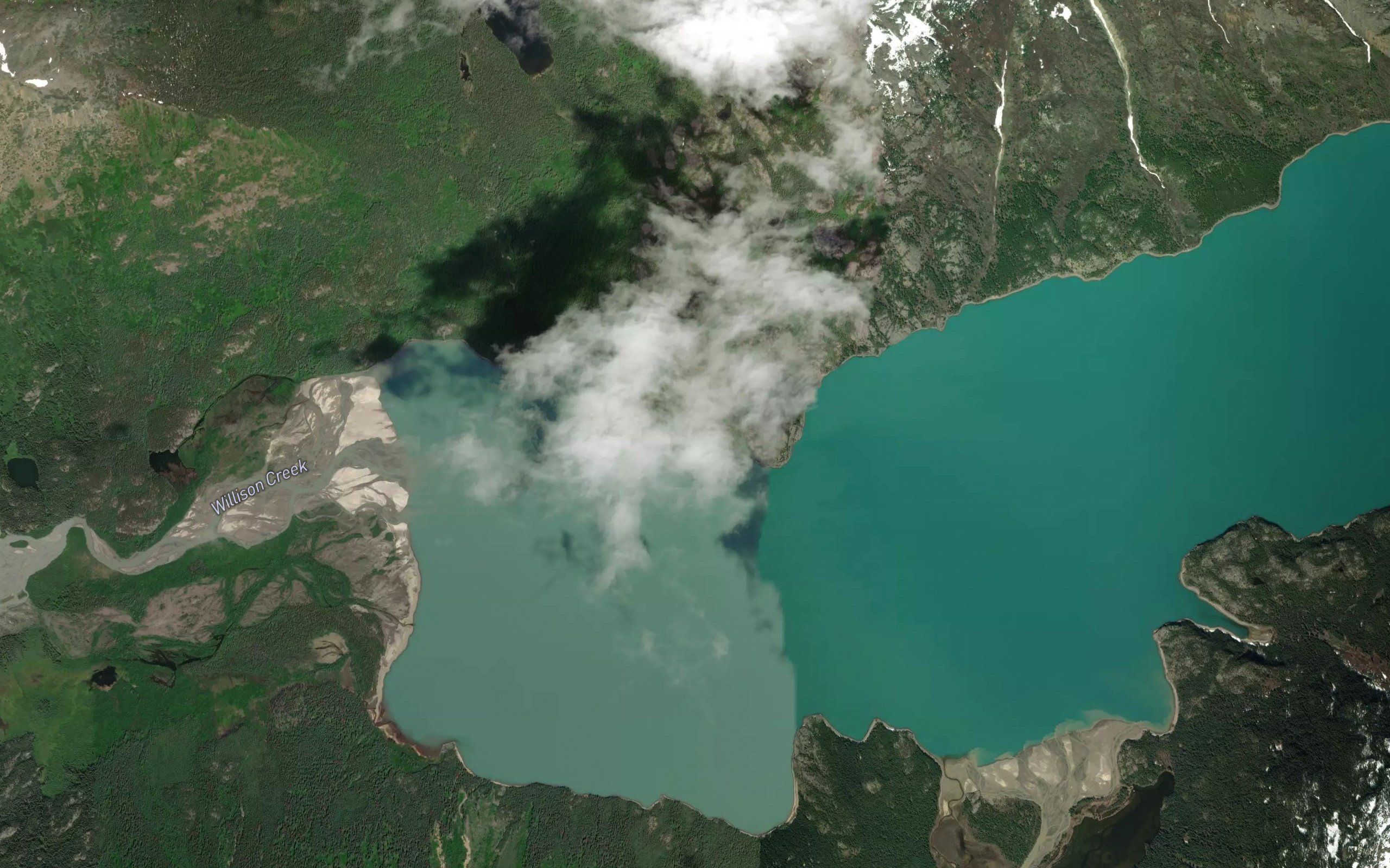 Willison Bay