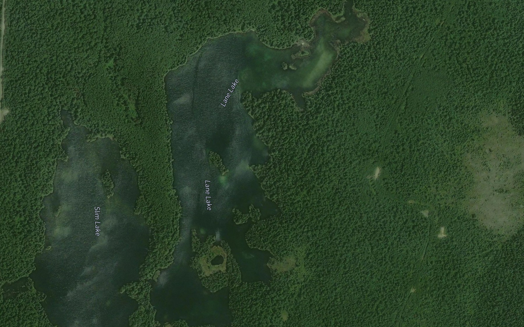 Satellite map of the Lane Lake