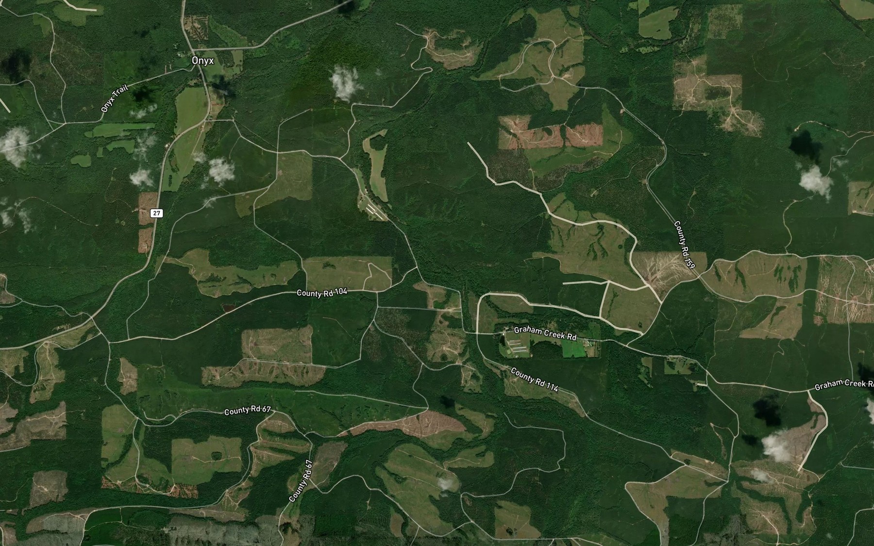 Satellite map of the Negro Branch