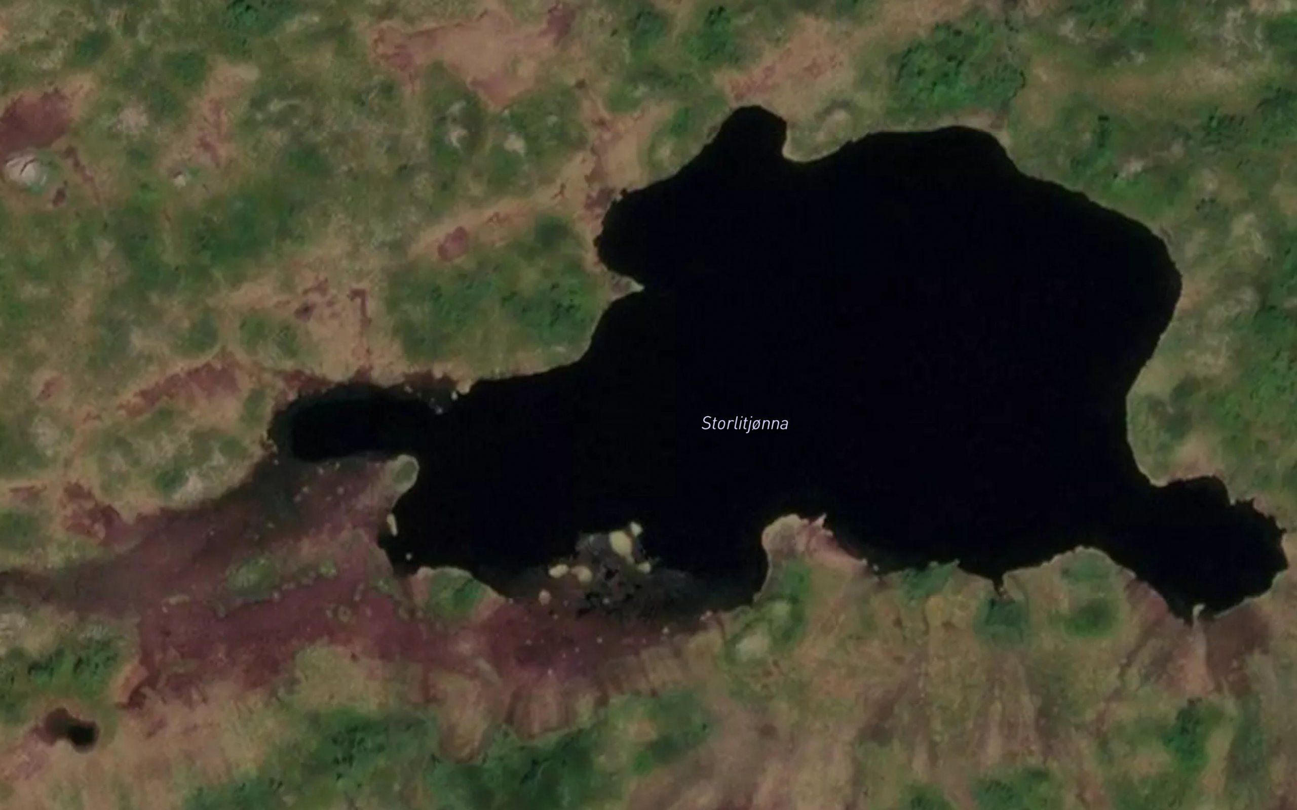 Storlitjorna