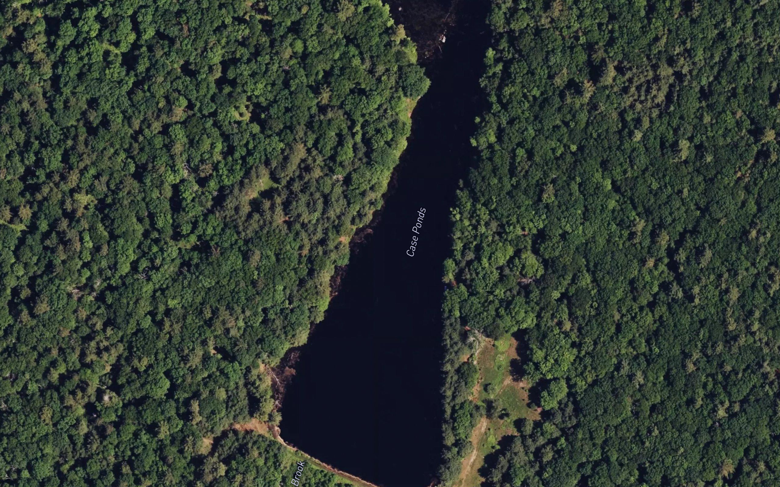 Case Ponds