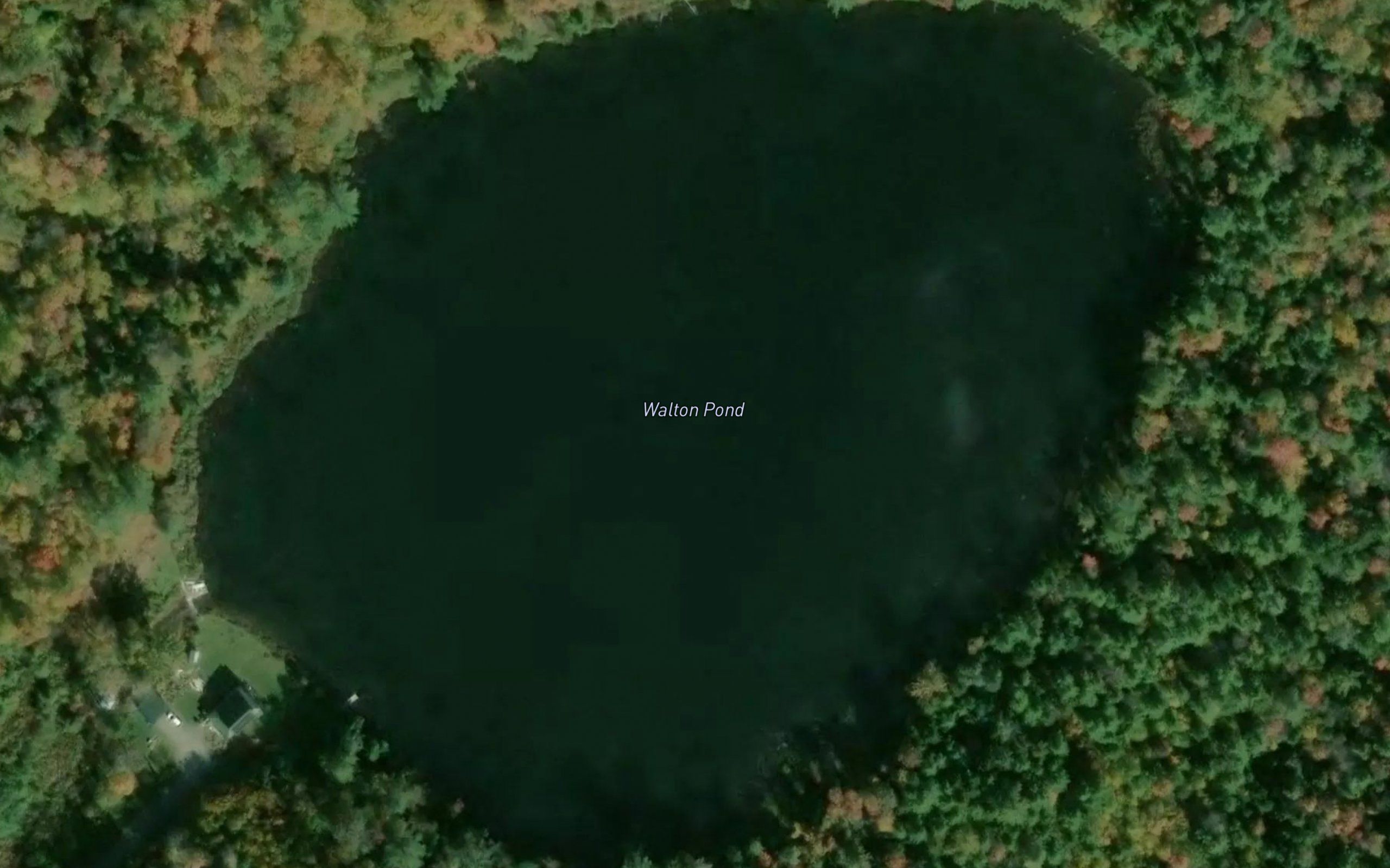 Walton Pond