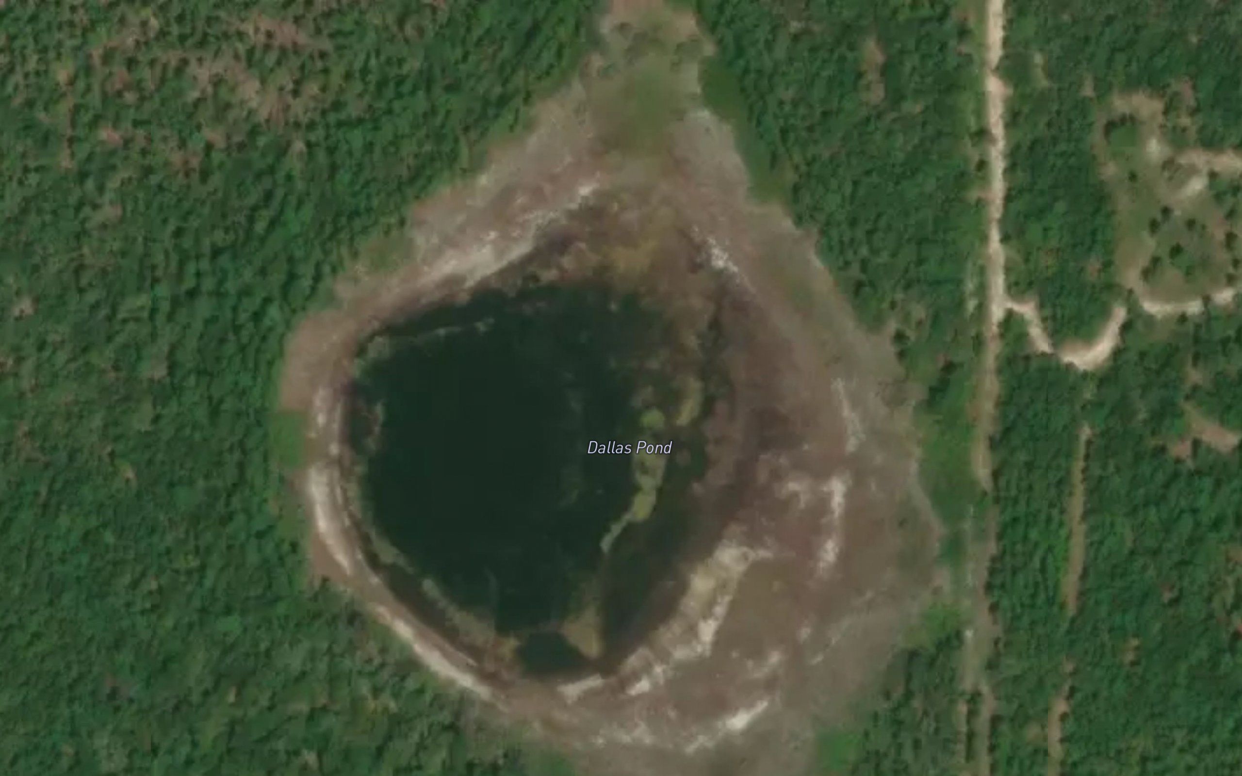 Dallas Pond