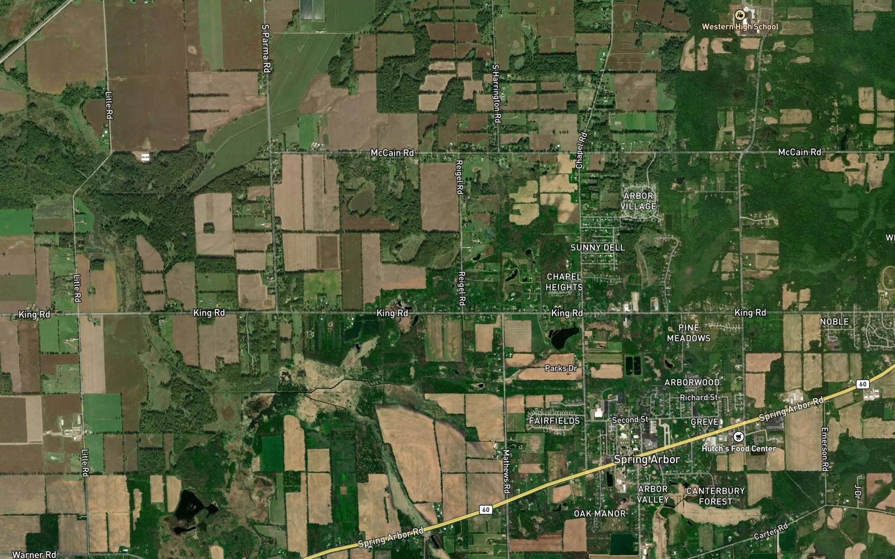 Satellite map of the Dolbee Branch Drain