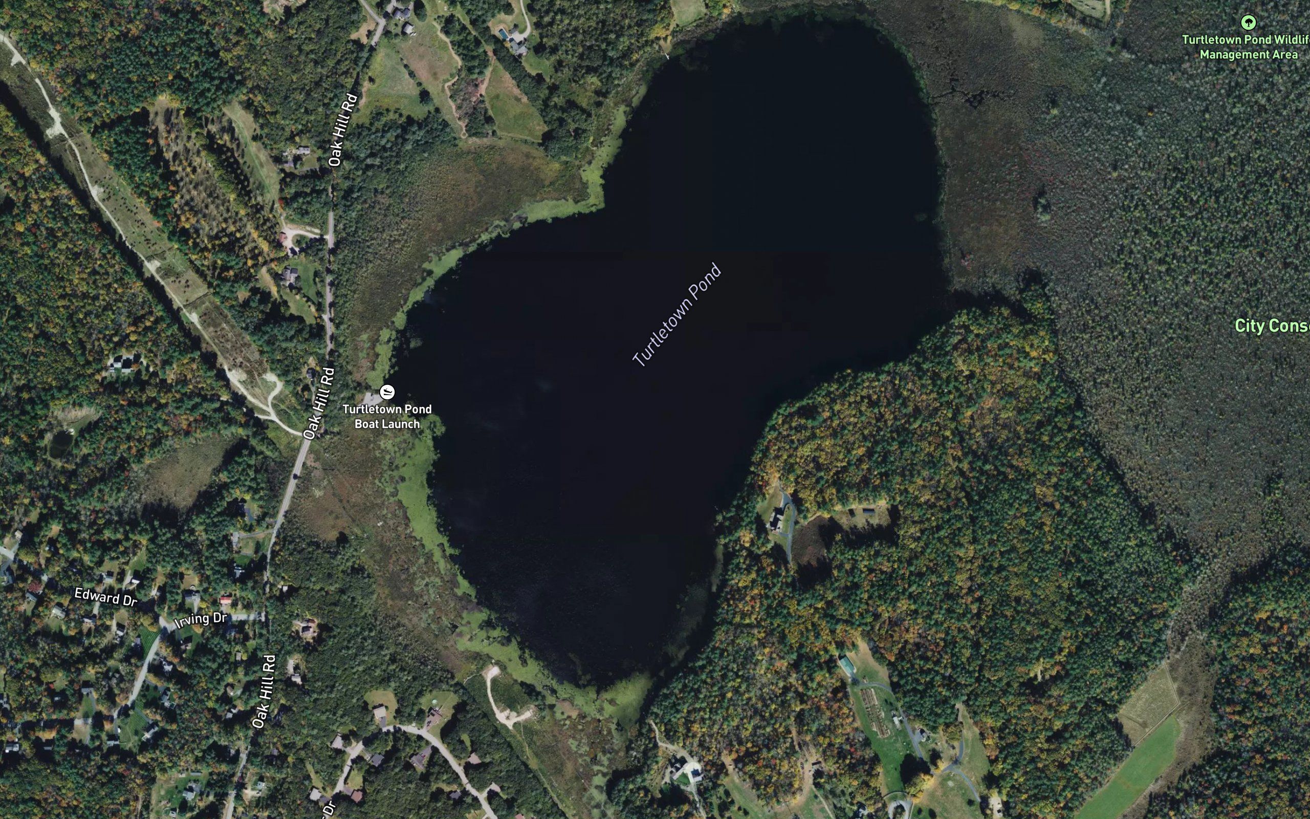 Turtle Pond
