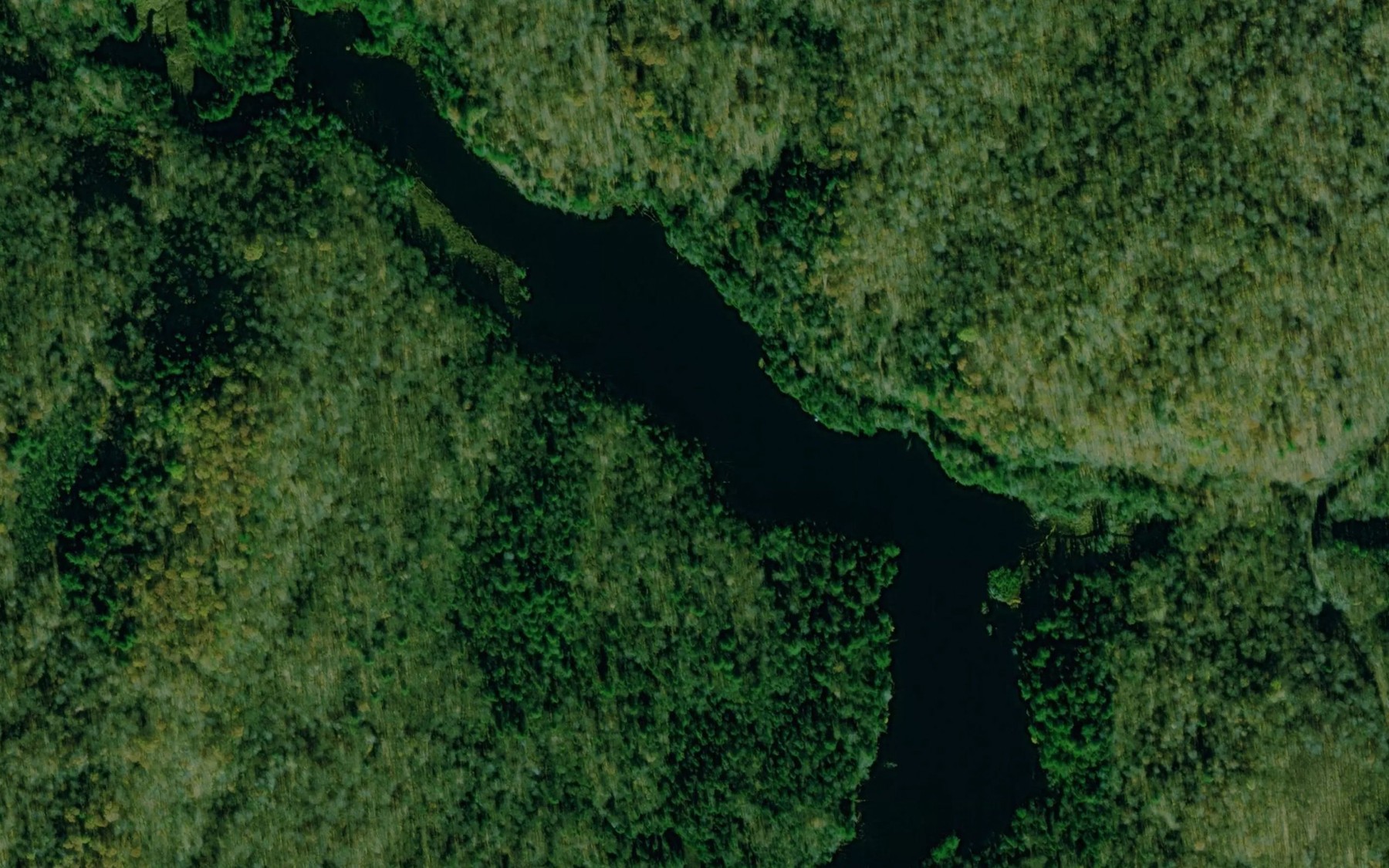 Satellite map of the Petit lac Benoit