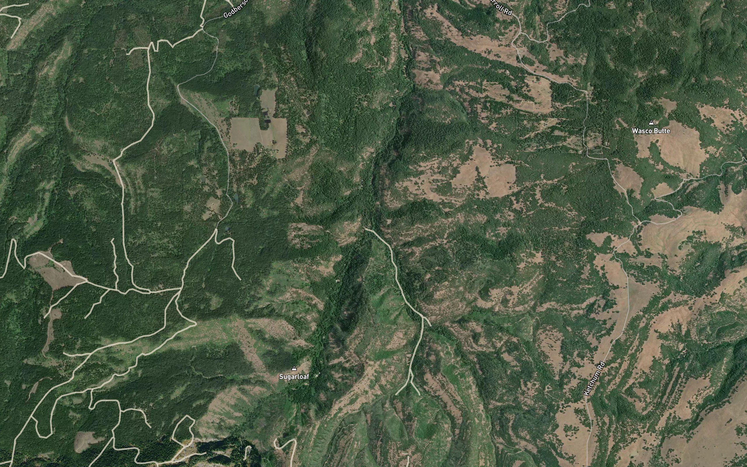 Honeysuckle Creek