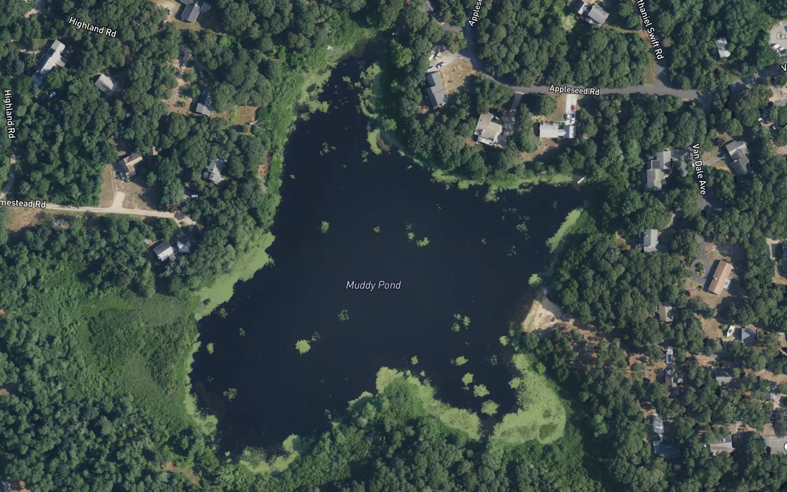 Mill Pond
