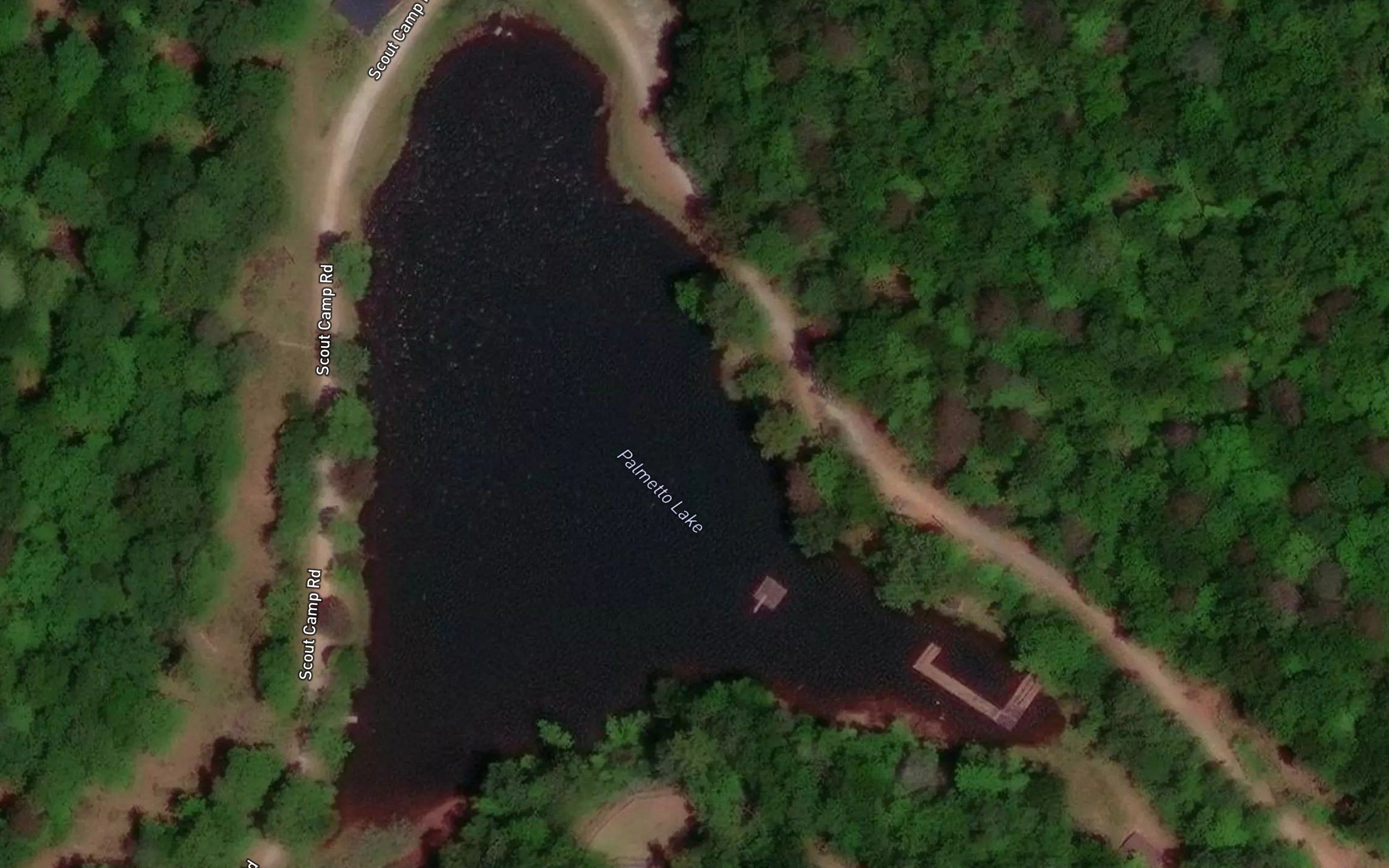 Palmetto Lake