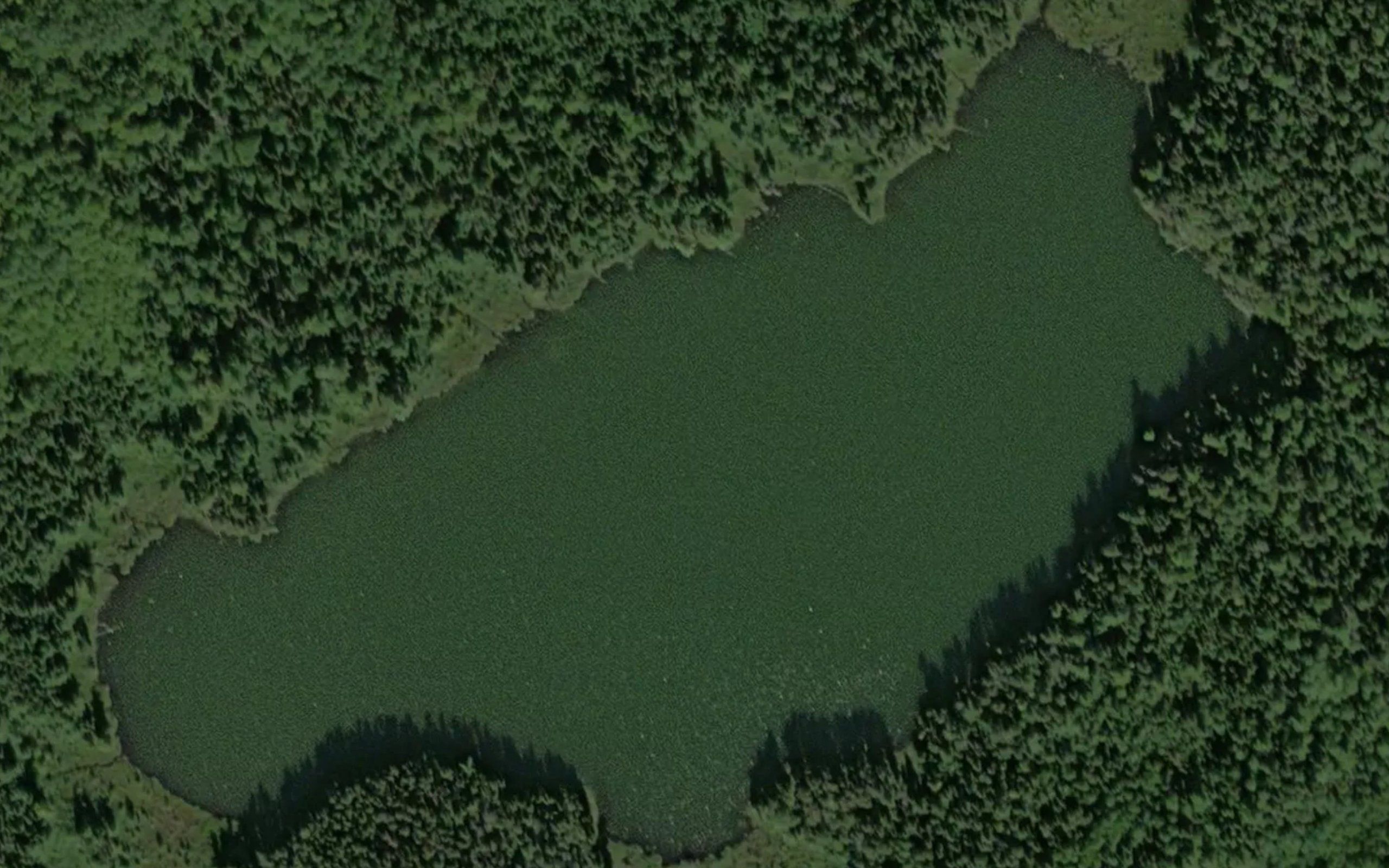 Little Forks Lake