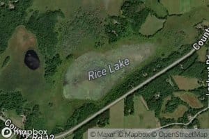 Rice Lake