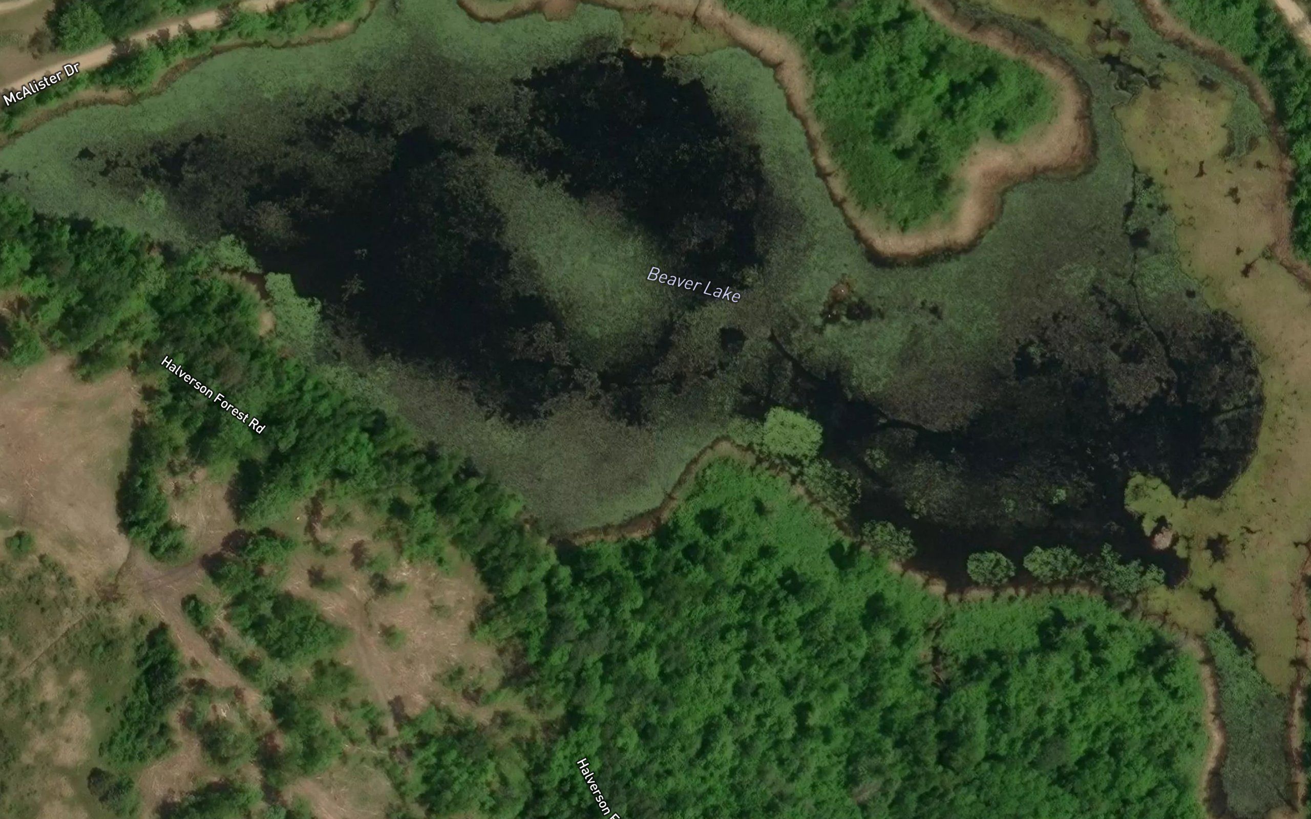Beaver Lake