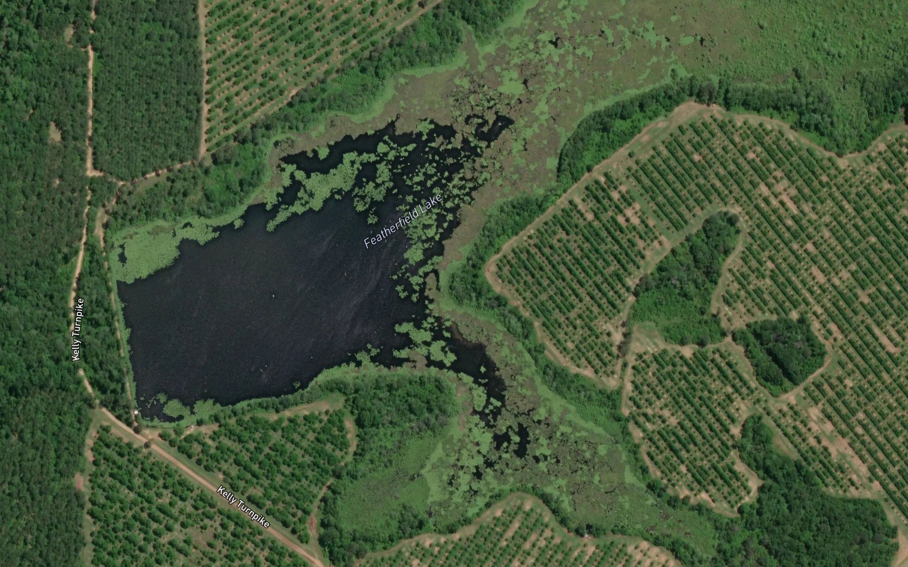 Satellite map of the Featherfield Lake