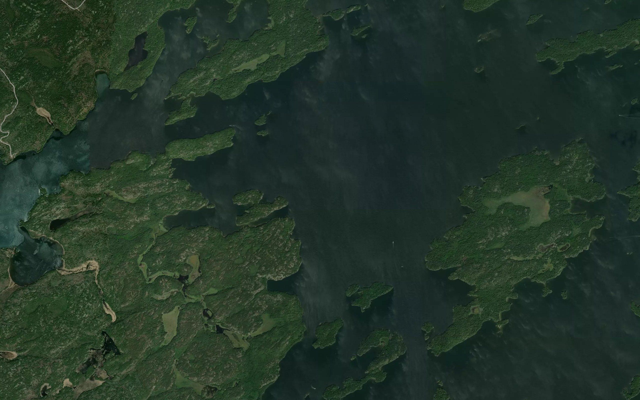 Viking Reef