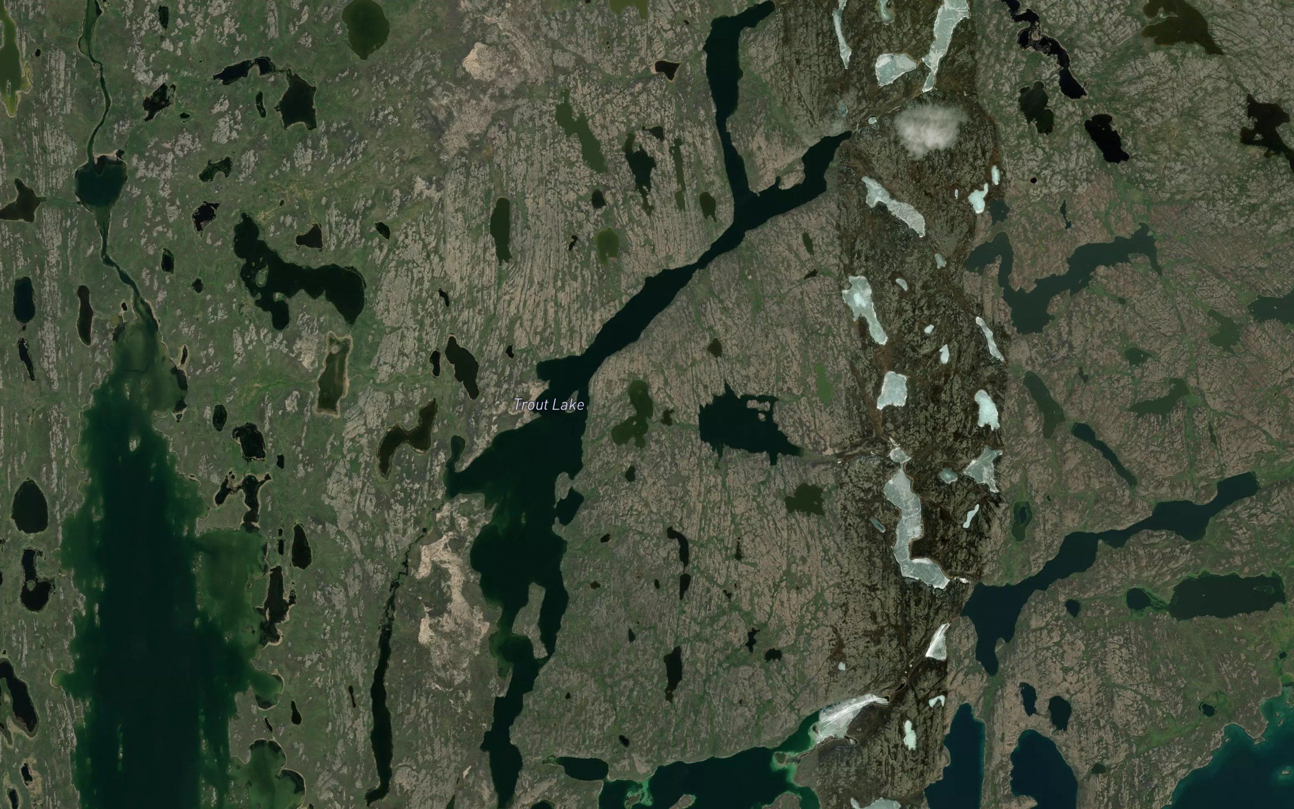 Trout Lake