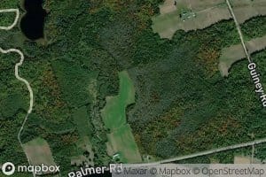 Pilgrims Creek