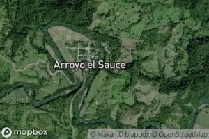 El Sauz
